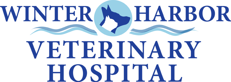 whvh header logo small